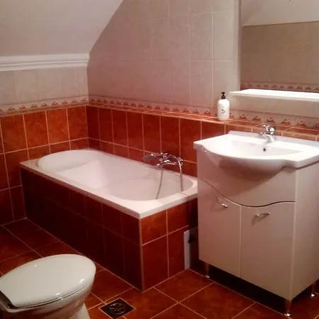 Homestay Nagy Haz Szabadkigyos